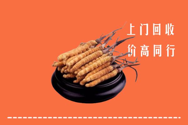 高价求购：重庆市云阳县回收散虫草