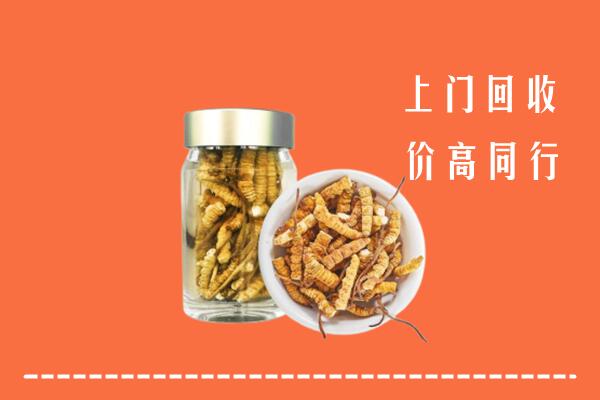 重庆市云阳县回收冬虫夏草